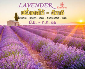 ทัวร์ฝรั่งเศสใต้ อิตาลี (เอลป์ / โพรวองซ์ / ริเวียร่า) Lavender