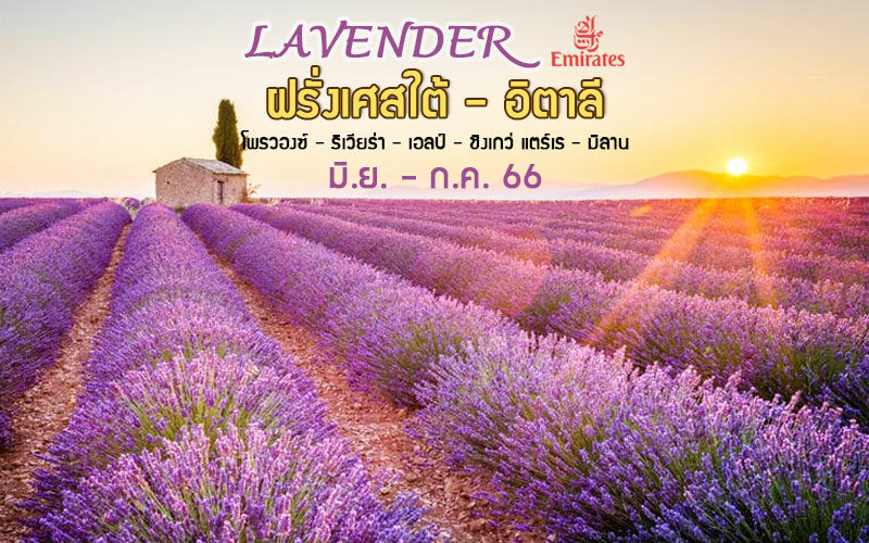 ทัวร์ฝรั่งเศสใต้ อิตาลี (เอลป์ / โพรวองซ์ / ริเวียร่า) Lavender