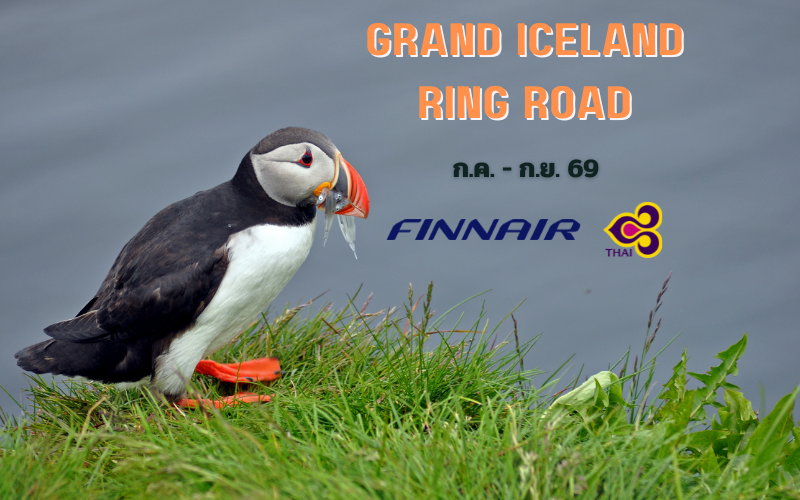 ทัวร์ไอซ์แลนด์ GRAND ICELAND 12 วัน