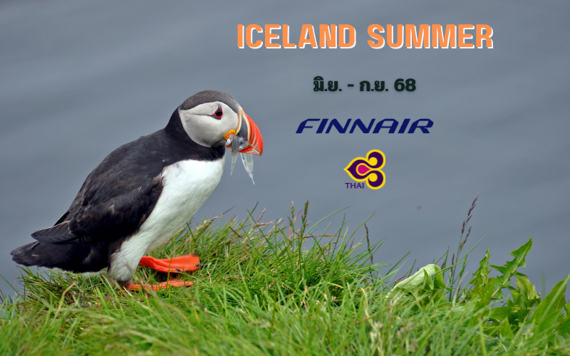 ทัวร์ไอซ์แลนด์ GRAND ICELAND 12 วัน